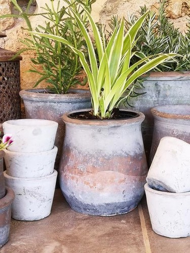 Curved plant pot - curved, pot,