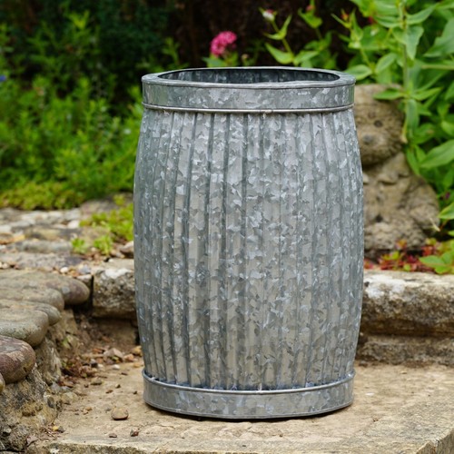 Galvanised dolly tub planter - dolly,