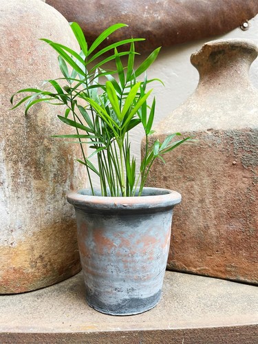 Vintage geranium pot roll - vintage,